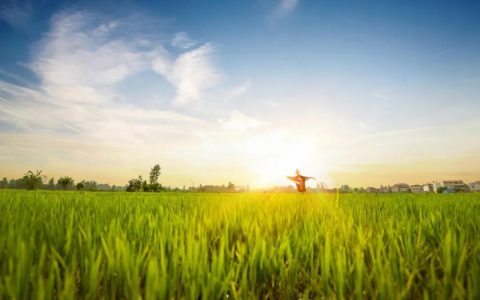 重磅！《乡村振兴促进法》审议通过