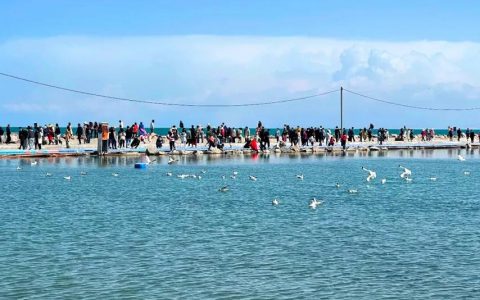 “五一”文旅数据出炉，看看这些省市的“成绩单”