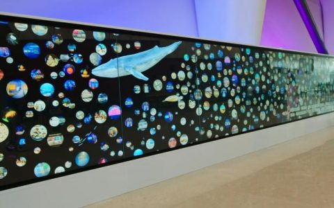 中新天津生态城：全域智慧旅游开新局