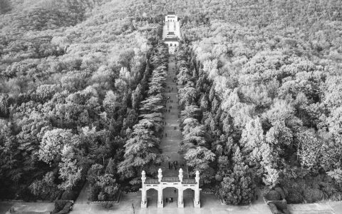 景区预约制背后的智能算法