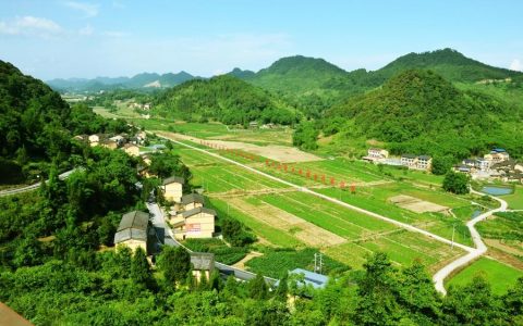 有法可依：乡村振兴促进法6月1日起施行