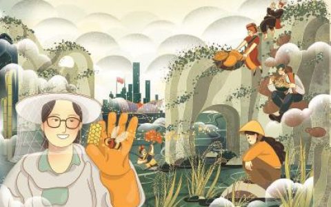 文化视点: Z世代讲述中国故事为何获得大流量高声量