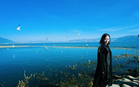 2021年木鸟民宿暑期预测报告：00后住宿重社交，亲子爱上博物馆