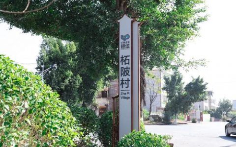 2021年旅游业艰难前行，十大项目背后匠心谋划——巅峰智业年度盘点