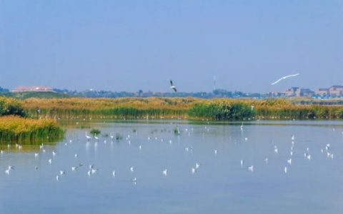 2022年怎么干？部分省区市文化和旅游厅局长如是说——