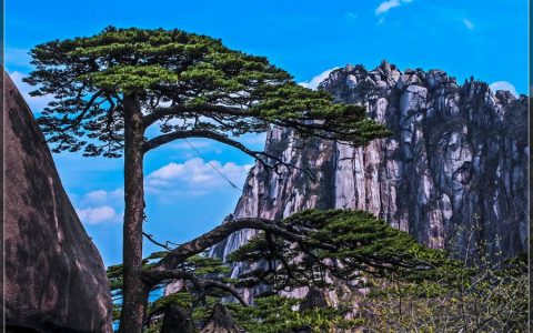 黄山旅游：打造智慧旅游服务新场景