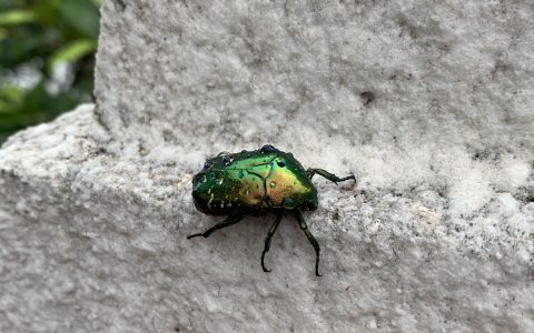 推动研学旅行与乡村振兴同频共振