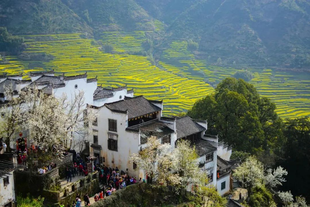 寻找乡村旅游发展“最优解”