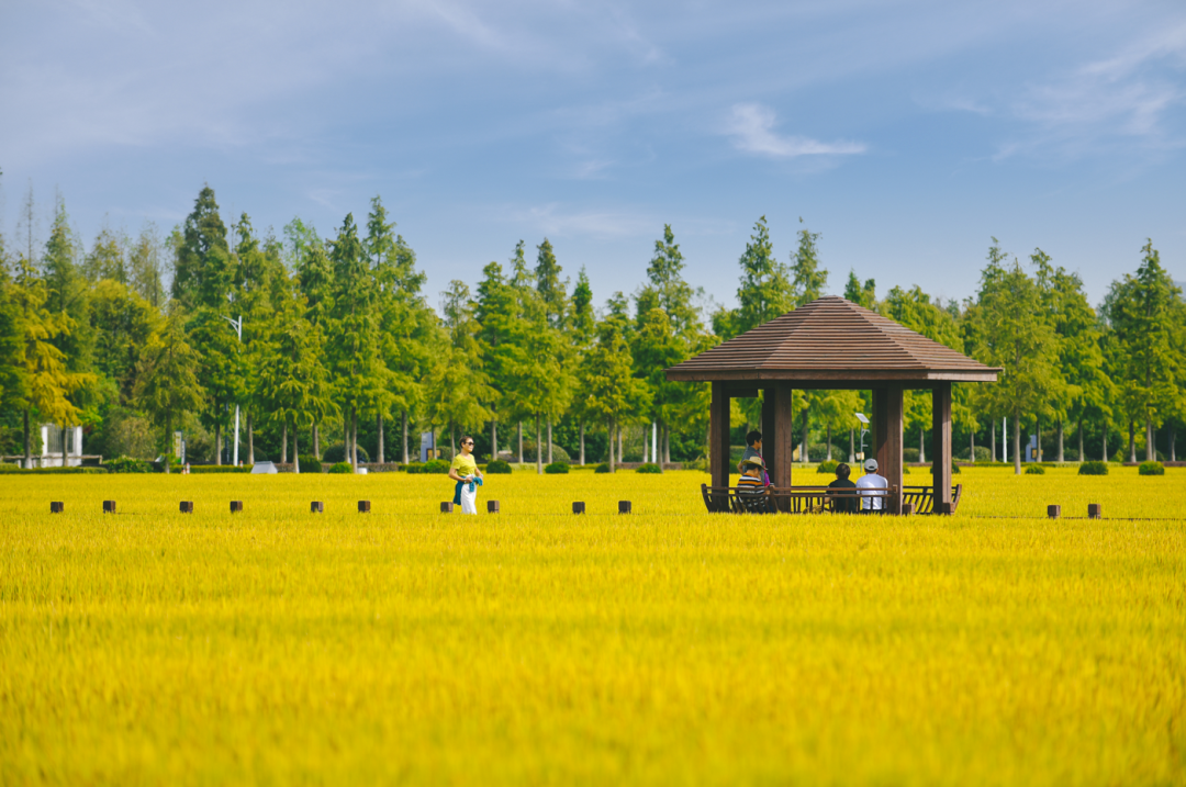 寻找乡村旅游发展“最优解”