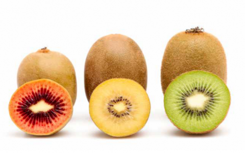 中国商家种猕猴桃，为何被外企索赔？