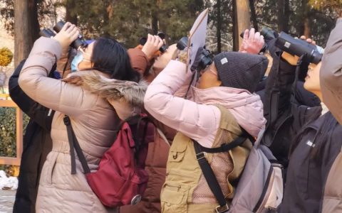 观鸟悄然盛行，年轻人少走几十年弯路