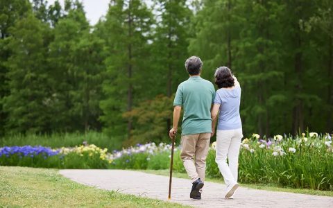 新银发旅游，文旅的下一座“富矿”