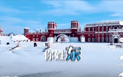 山东文旅，你再说一遍你姓啥？