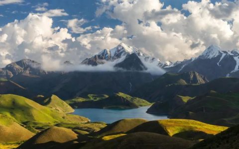 宠物友好型景区成新风口