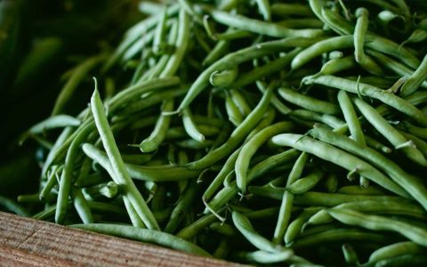 把握政策红利 推动文旅产业高质量发展