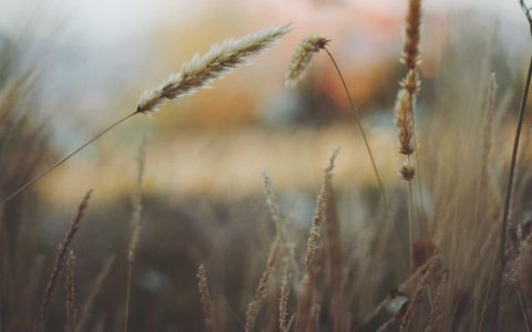 数字赋能营销 激活文旅消费新潜力