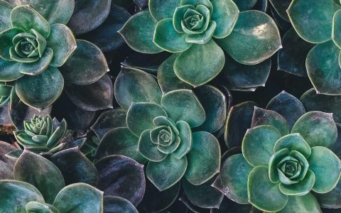 业态融合共生 点亮城市消费