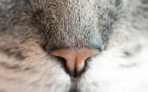 激活乡土资源 助力乡村振兴