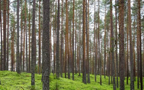数字重构产业 转型开启新局