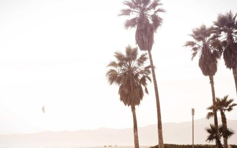 场景创新赋能 激活消费潜力