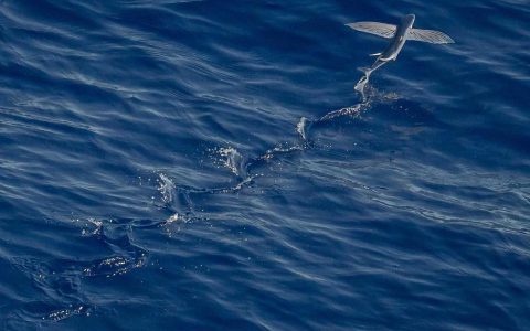 生态优先发展 实现长久共赢