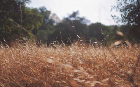 提炼城市标识 打造魅力名片