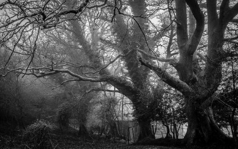 重塑体验场景 激活消费潜能