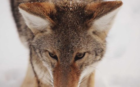 文化牵引商业 旅游激活商圈