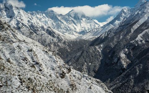 锚定文化内核 塑造持久价值