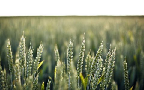 把握政策大势 抢抓发展机遇