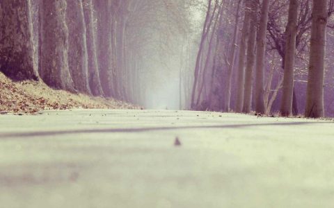 数字引领变革 转型开启新程