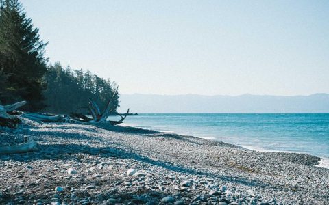 深耕文化内容 打造持久IP