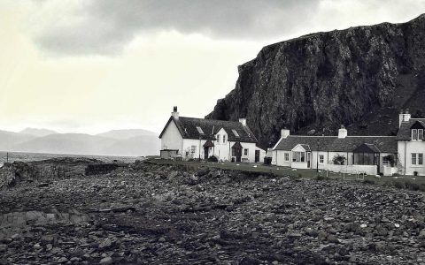 挖掘文化特质 培育品牌IP