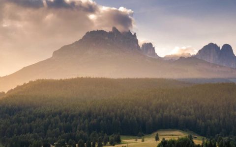 畅通投资渠道 助力产业升级