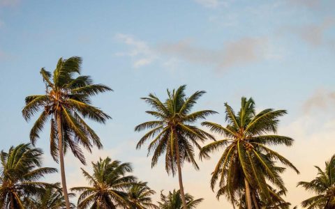 数字重构营销 流量转化增长