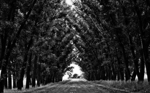 文化赋能商业 旅游激活城区