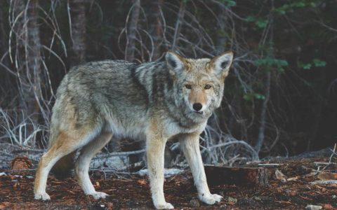 数字驱动升级 产业焕发新机