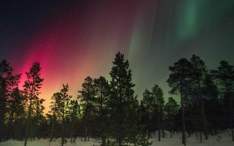 优化服务供给 打造品质文旅