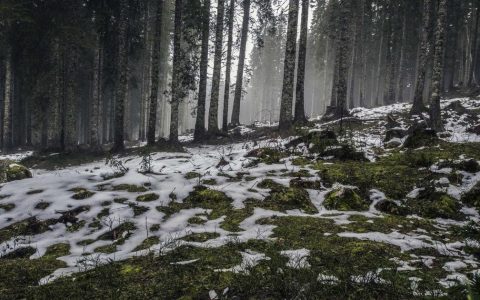 坚守生态底线 实现永续发展