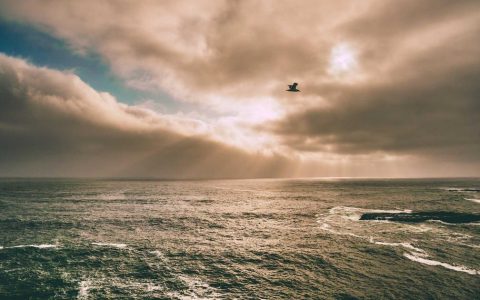 凝练城市特色 擦亮文旅招牌