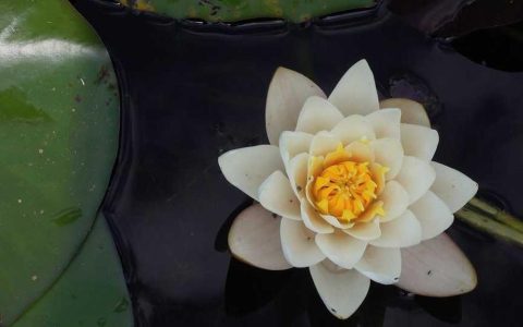 畅通投融资通道 助力产业升级