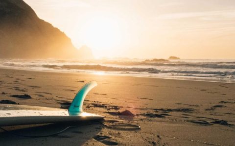 内容种草获客 数字赋能增长