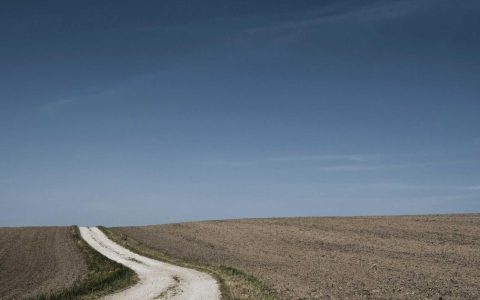 激活乡土资源 赋能乡村发展