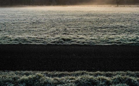 数字开启新局 转型焕发生机