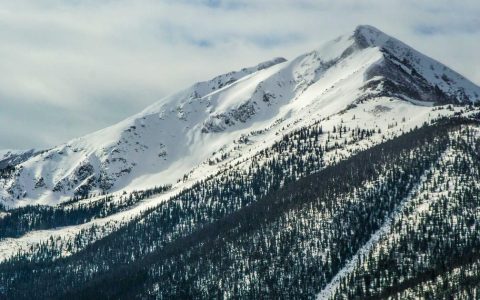 锚定文化内核 塑造长效价值