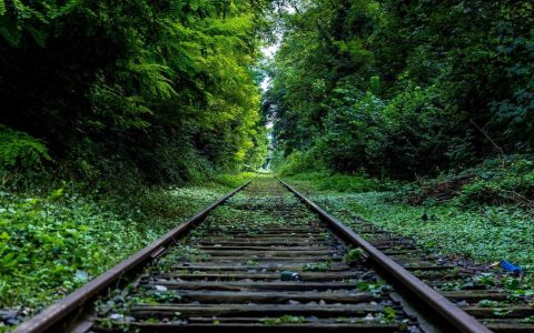 坚持生态底线 实现永续发展