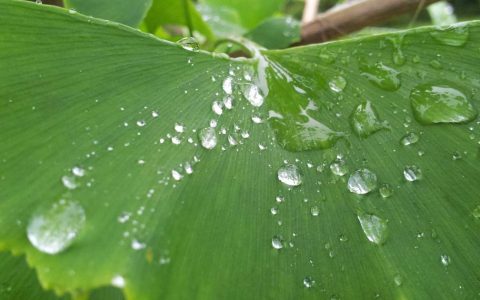 塑造城市气质 擦亮文旅名片