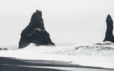 完善培养体系 赋能产业发展