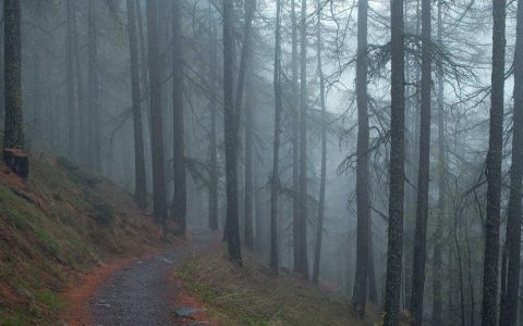 塑造城市气质 擦亮文旅名片