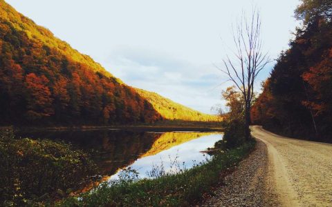顺应政策大势 深耕产业蓝海